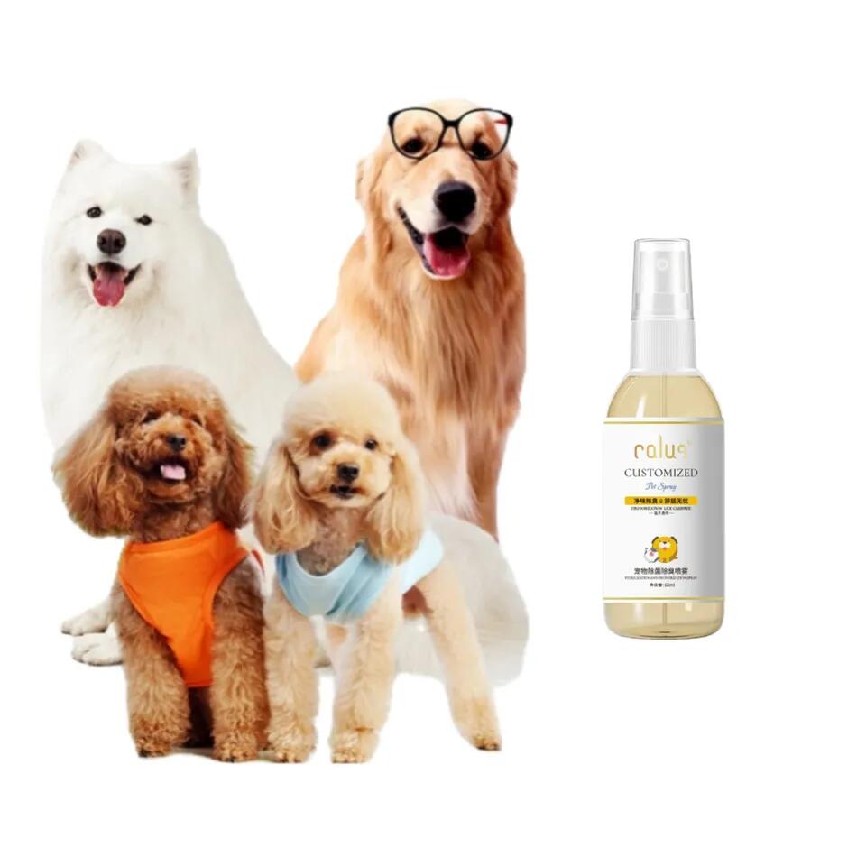 What are the categories of Pet Care Products?